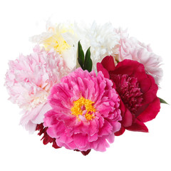 Beautiful bouquet of peonies isolated on white background.
