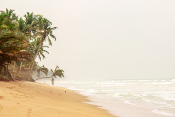 Fototapeta na wymiar Sri Lanka. Sandy beach, palm trees over water, lopsided fence, waves