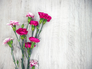 Fototapeta Flowers of carnations on a wooden light background obraz