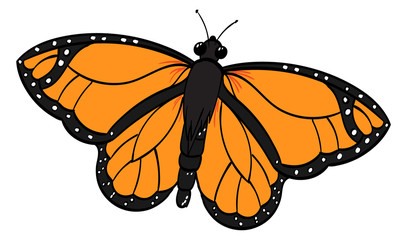 Monarch Butterfly