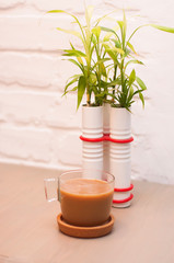 bamboo in glass in the interior