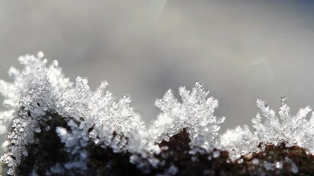 Macro time lapse of melting hoarfrost particles. Majestic beauty of springtime transformation in wildlife nature. Melting Snow. Melting Ice. Melting Iceberg. Global Warming Effect.