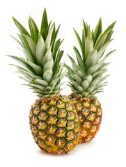 Fototapeta premium pineapple
