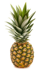 Fototapeta premium pineapple