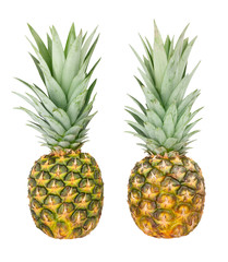 Fototapeta premium pineapple