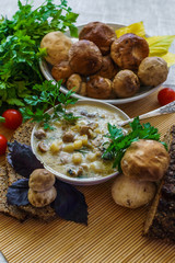 Homemade soup with mushrooms and sour cream, on the table.