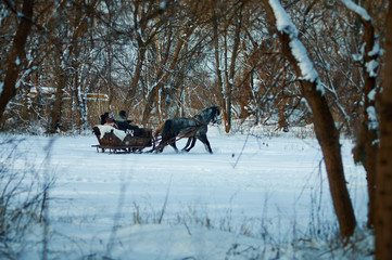 walk in the fresh air in winter