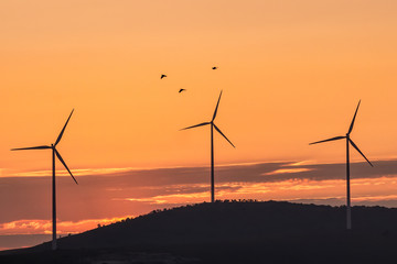 Beautiful landscape with silhouettes of three wind turbines on a hill in the sunset light and...