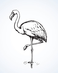 Naklejka premium Flamingo. Vector drawing