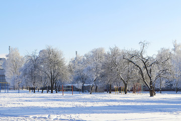 Красивый зимний пейзаж с деревьями в инее и снегу. Солнечный зимний день. 