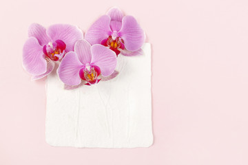 Pink orchids on paper background
