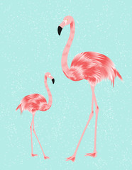 flamingo mit Jungvogel