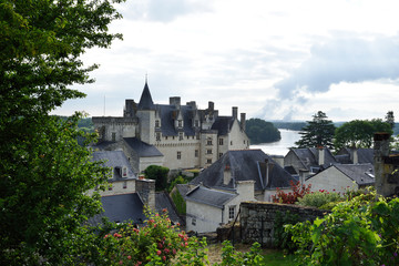 vue d'un ch&acirc;teau sur un fleuve