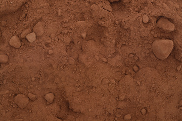 Cacao en polvo sobre fondo blanco