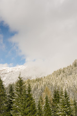 Berge mit Bäumen und Schnee in den Berchtesgadener Alpen im Frühling