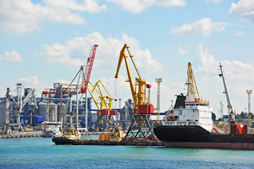 Fototapeta premium Bulk cargo ship under port crane
