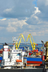 Bulk cargo ship under port crane