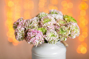 Pink persian buttercup flowers. Curly peony ranunculus in Metallic gray vintage can. Vase with beautiful bouquet on table. Copy space. lights on the background