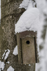 birdhouse covered in snow with snow covered trees blurred in background; winter background with copy space