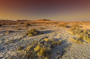 The beauty of the Middle East