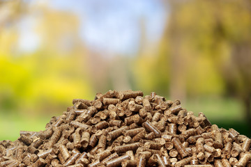 pellet on the table