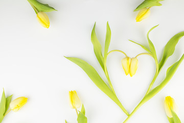 Tulpen Herz © Dominik