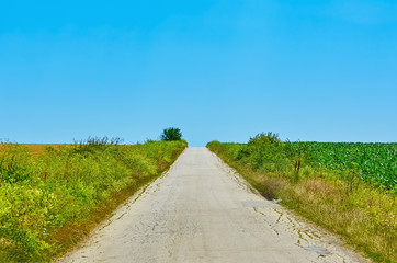 Road in the Countryside