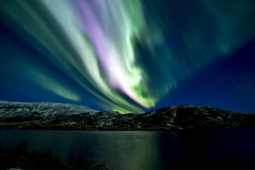 Fototapeta na wymiar The polar lights in Norway . Ersfjord. Tromso