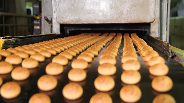 Fresh biscuits made in the factory.Cookies are moving on the conveyor line. Automatic line for the production of cookies. Biscuits and gingerbreads on a conveyor belt in a bakery.