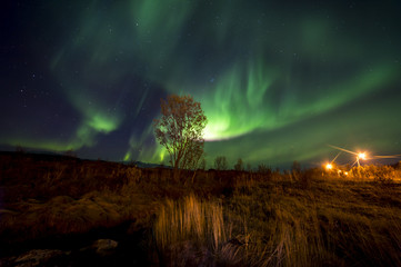 The polar lights in Norway . Ersfjord. Tromso
