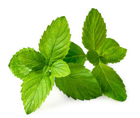 closeup of fresh spearmint leaves isolated on white background