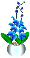 Beautiful branches of blossoming blue orchids with buds and leaves for creating decor or postcards, exclusive design, vector graphics