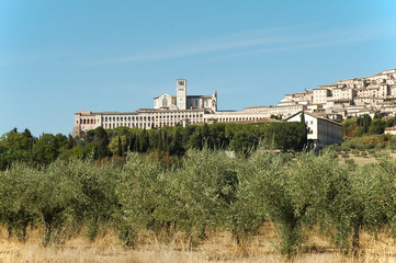 Fototapeta na wymiar Assisi, panorama dalla campagna - Umbria