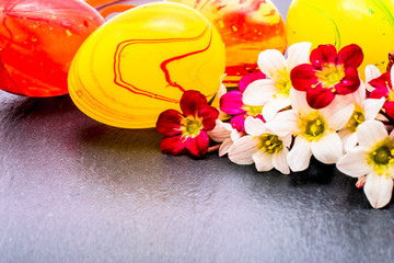 close-up of colorful easter eggs and saxifraga bryoides or mossy saxifrage flowers on stone background with copy space. border template, easter greeting and holiday card.