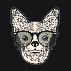 Vector face of dog. Chihuahua. Ornament and line art style. Isolated on dark background.