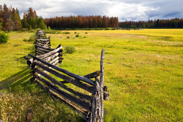 Old log fence in a field