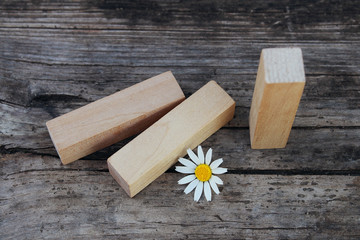 Beautiful chamomile and three wooden blocks lie on a wooden board.