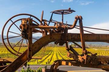 Napa Valley California Vineyards in Springtime with Mustard Plants Blooming Through Antique Tractor