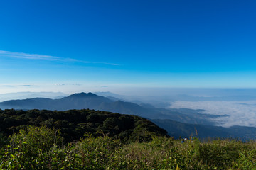 Travel on the mountain for see the nature and fog and mountain is cool.