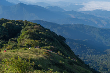 Travel on the mountain for see the nature and fog and mountain is cool.