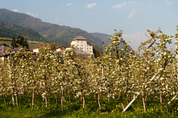 Caldes, Trentino, Italien