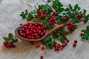 Berries of red lingonberry in a wooden spoon, along with twigs, on a table.