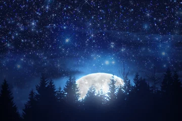 Photo sur Plexiglas Pleine Lune arbre Pleine lune s& 39 élevant de l& 39 horizon avec des silhouettes d& 39 arbres et des étoiles.