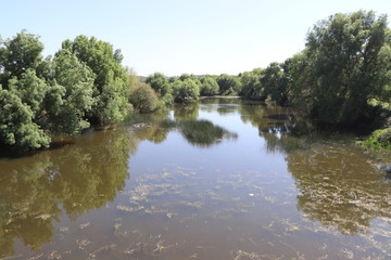 Fluss im Grünen