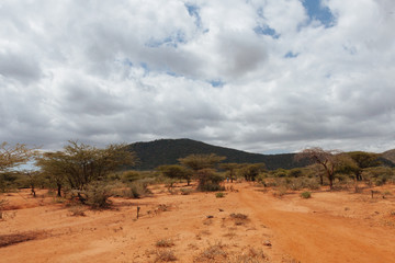 Landscape in Kenya,