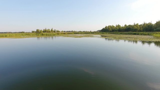 An arty bird`s eye view of a dark blue surface of the Dnipro river. It is covered with lilies, green tches of bulrush                            spatter-docks, lily, at sunset in summer