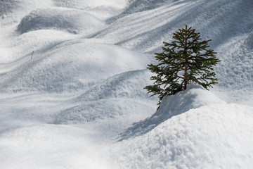 Untouched snow. Near Oeschinen Lake, Switzerland.