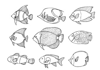 Hand drawn coral fish set. Isolated on white.