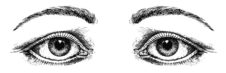 Obraz premium Augen - eyes