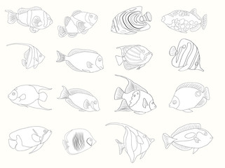 Hand drawn coral fish set. Isolated on white.